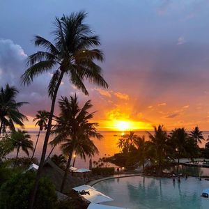 Meet your Posher, Audrey